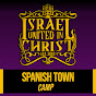 IUIC SPANISH TOWN - JAMAICA logo