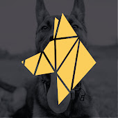 YCA Dog Training