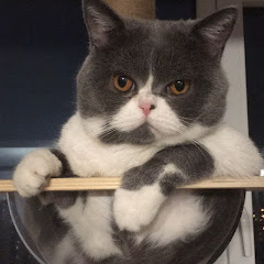 童瑶瑶アイコン画像