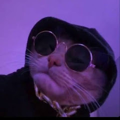 𝐂𝐢𝐩𝐬 𝐓𝐮𝐧𝐚