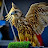 @ArabFalconry