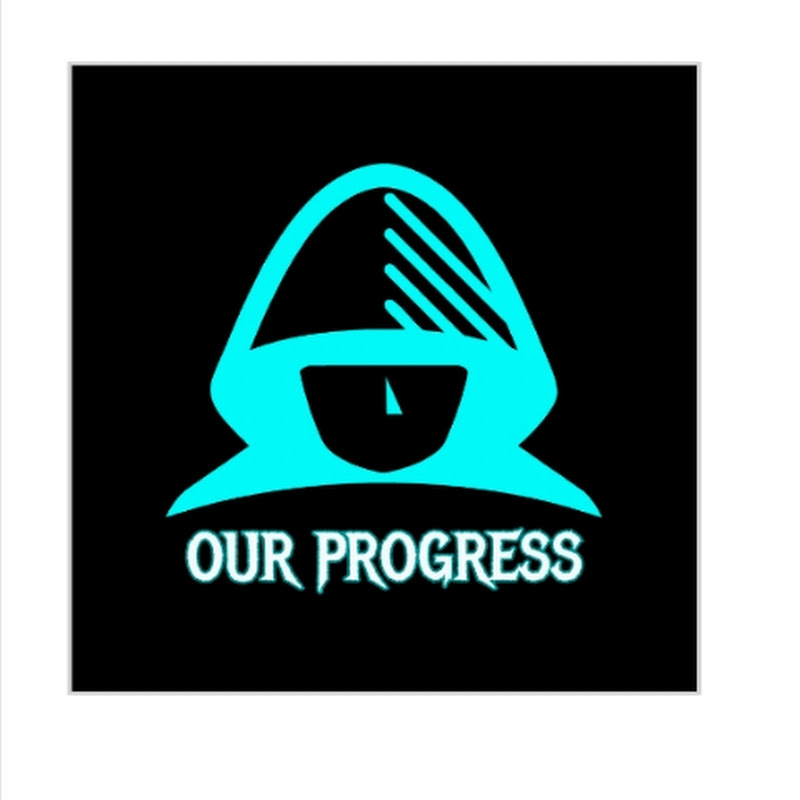 OUR PROGRESS