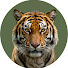 9XZ9bam1Os0-channel-avatar-Wilderna