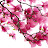 @laga6256