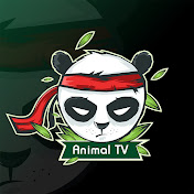 Animal TV