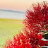 V7hzAONF-r8-channel-avatar- Australia New Zealand Exploring