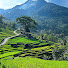 lLz3UbpkGc0-channel-avatar-indoculture