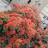 @ayahady4769
