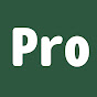 Pro Inglês logo