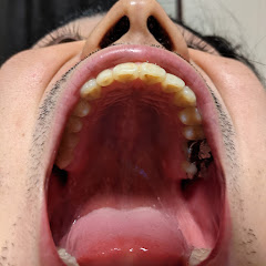 エイゾウのんエイゾウ