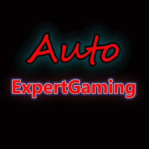 Auto Expert Gaming