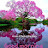 author-img