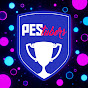 PEStubers