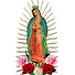 mfhogfPS70U-channel-avatar-Santo Rosario AG