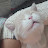 @마른빨래m