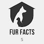 Fur Facts 5 logo