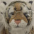 @Kxz_910's avatar