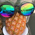 yIfHMYS43jQ-channel-avatar-ハナミズキ旅チャンネル