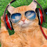 KM3dT0nn1RY-channel-avatar-Relaxnation