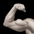 VIQ_RtzhU5s-channel-avatar-Think Muscles