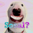 loPBw0-BlZs-channel-avatar-Poishen
