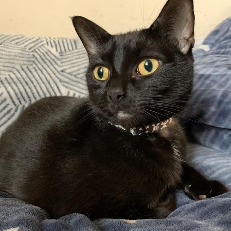 Esther