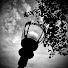 2egP6C4jZgY-channel-avatar-Chilllight_07