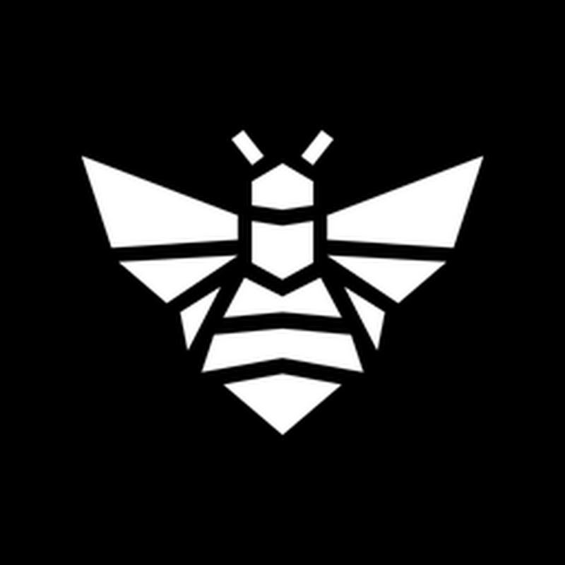 DigiBuggy