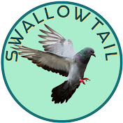 Swallowtail Pigeons