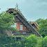 Nor8cajWOPE-channel-avatar-typical tourist or not