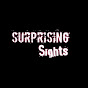 Surprising Sights  logo