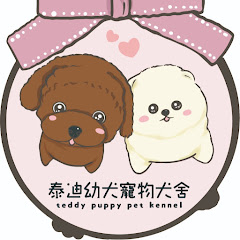 泰迪幼犬寵物犬舍アイコン画像
