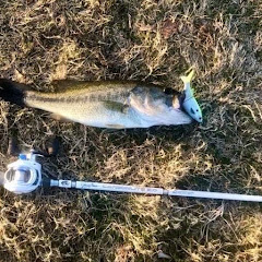 Rippin’ Lips with Ryan
