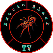 Exotic Black TV 