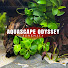 5Yb7yDDOTag-channel-avatar-Aquascape Odyssey 