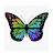 Rainbow Butterfly Edits