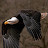 @andreasschlichtmann3850's avatar