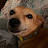 @ARCHIMEDES_NUTS