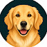 PQ1Rady6AVQ-channel-avatar-MyFurKid — Golden Retriever