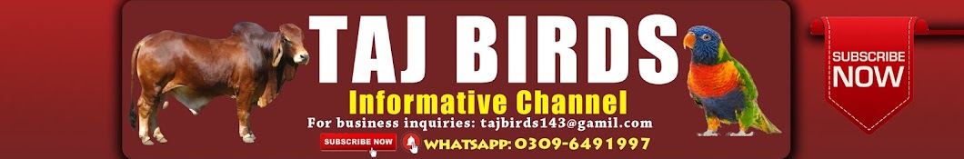 Taj Birds Аватар канала YouTube