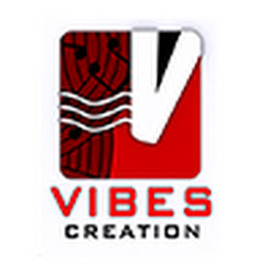 Vibes Creation net worth