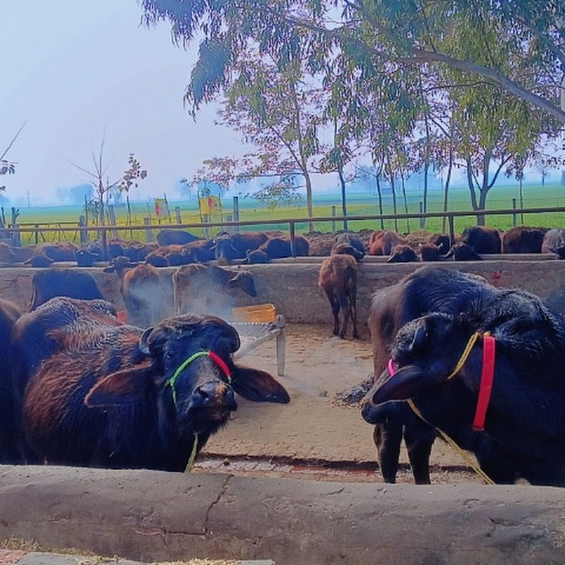 Hire Uppal farming — Home & Garden YouTube creator for sponsorships