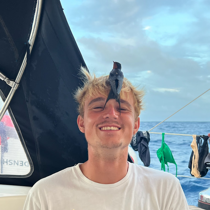 seaaround