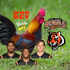 RUAN ROOSTER NFL
