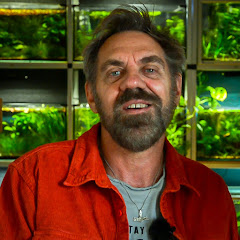 Michael Jensen's Aquarium Avatar