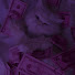 IhdTcPQ8sqQ-channel-avatar-Novix