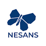 Nesans Mining and Automation Private Limited