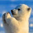 @Wonderhub-m4b