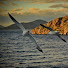 HlS4aNXXbGA-channel-avatar-Stavros Giannikakis