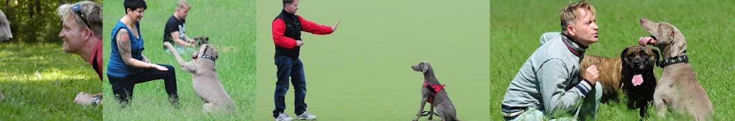 Dog Coach Media Avatar canale YouTube 